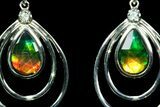 Ammolite Earrings with Sterling Silver and White Sapphires #181159-1